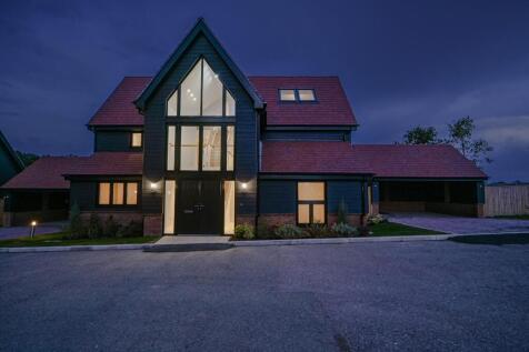 Night Shot