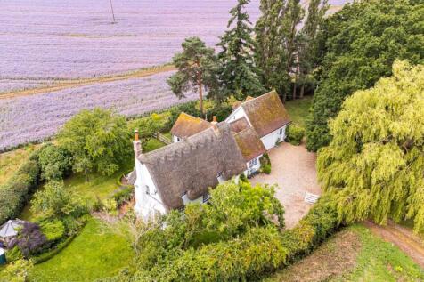 Aerial Shot