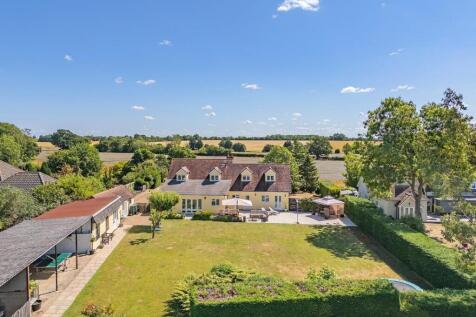 Drone Rear Elevation