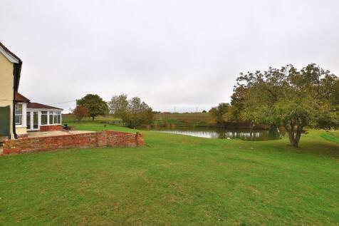 DSC_0177.JPG