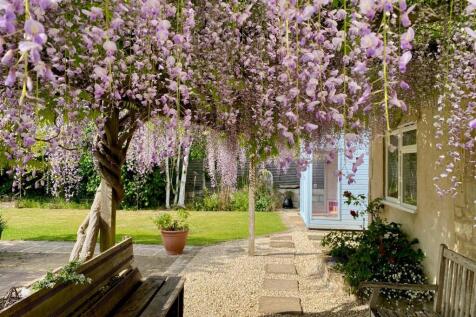 Wysteria.jpg