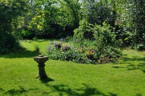 Garden 4.jpg