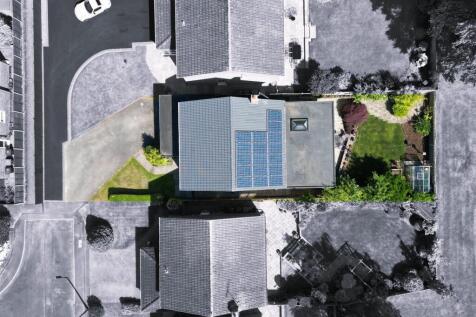 dji_fly_20250619_151542_594_1750342658394_BWMix.jp