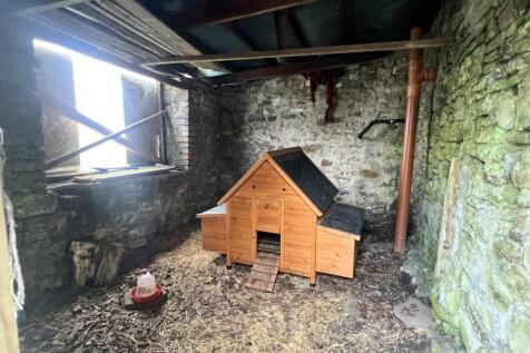 Chicken Shed