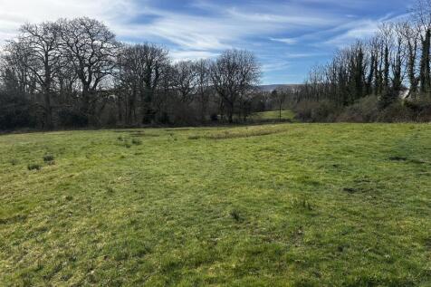 Field