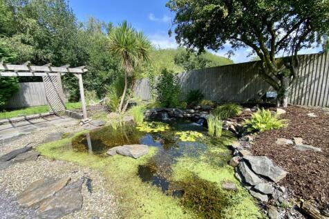 Pond