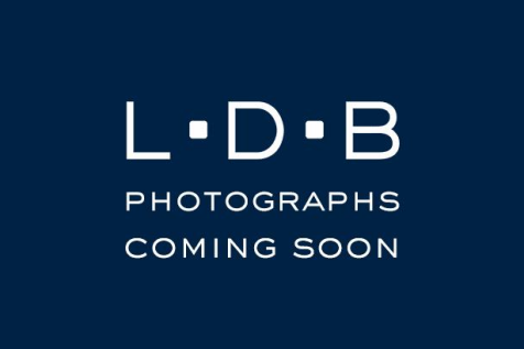 New ldb logo coming soon.png