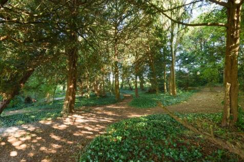 Property Image 36