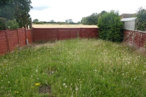 back garden
