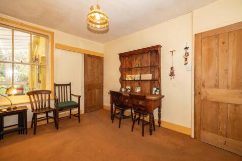 Picture 7