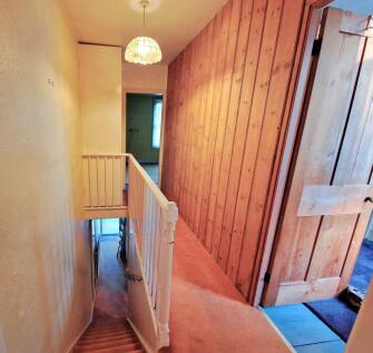 Picture 8