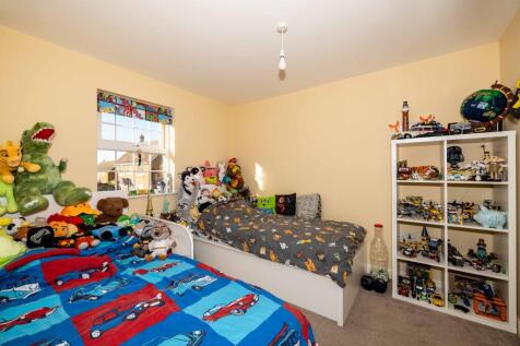 Picture 8