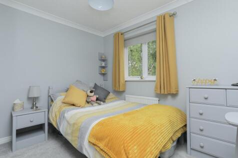 Picture 10