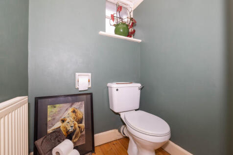 Picture 11