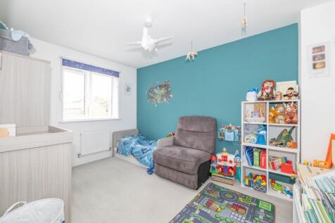 Picture 7
