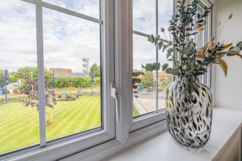 Show Home