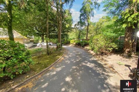 driveway.jpg