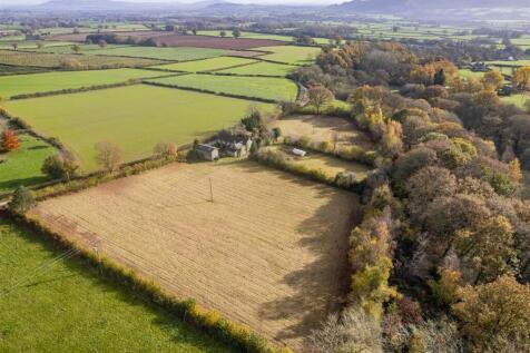 DJI_0302.jpg