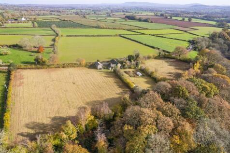DJI_0303.jpg