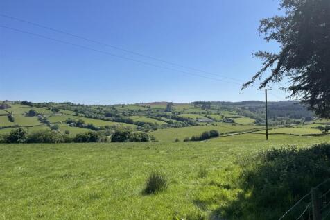 IMG_7740.JPEG