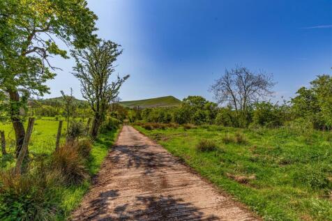 BX1A0712-Edit.jpg