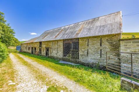 BX1A0435-Edit U.jpg