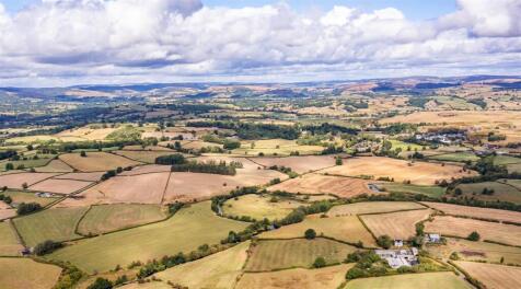 DJI_0770.jpg