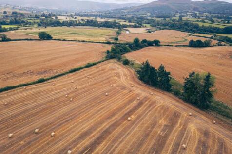 Drone photos of the farm-7.jpg