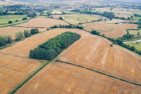 Drone photos of the farm-6.jpg