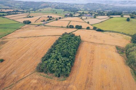 Drone photos of the farm-4.jpg