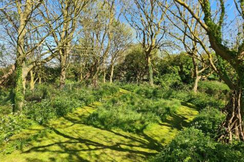Property Image 25