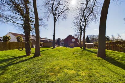 Garden: