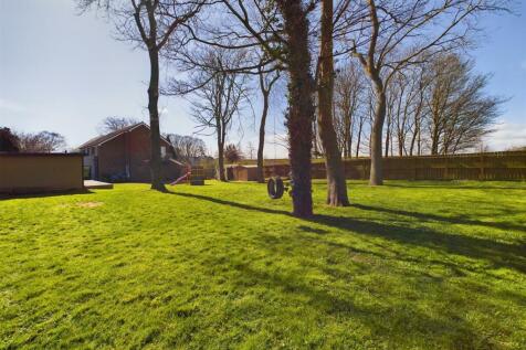 Garden: