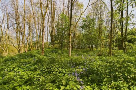 Grounds: