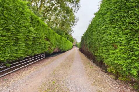 Grounds: