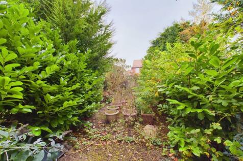 Garden: