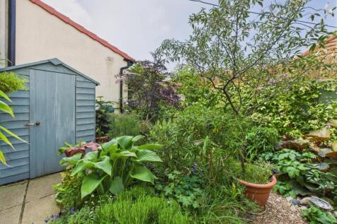 Garden: