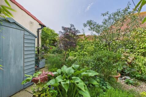 Garden: