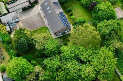 dji_fly_20250531_091120_187_1748689901755_photo_op
