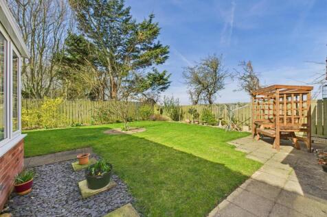 Garden: