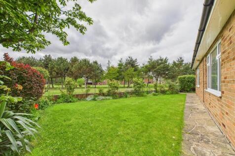 Garden:
