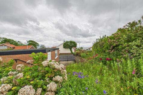 Garden: