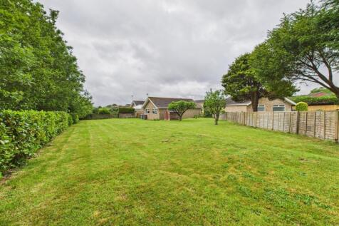 Garden: