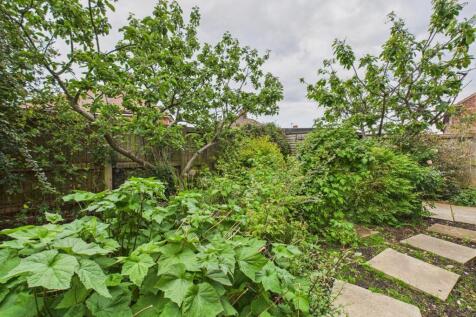 Garden: