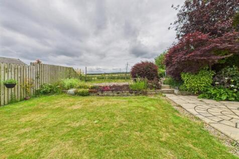 Garden: