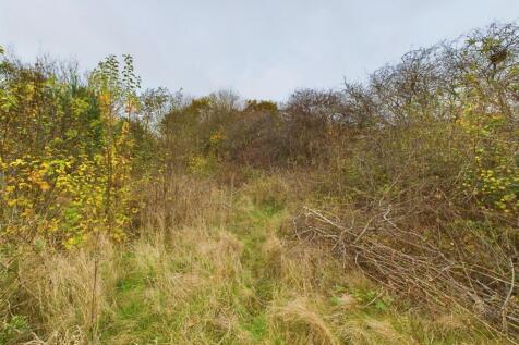 CAM04584G0-PR0021-STILL002.jpg