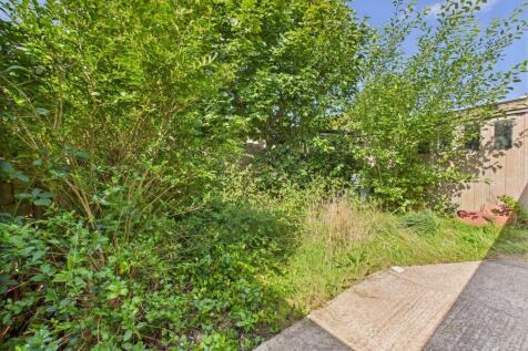 Garden:
