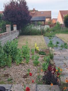 Garden: