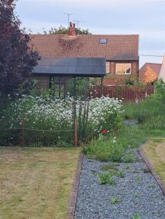 Garden: