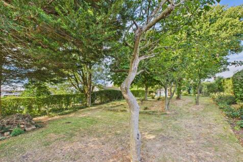 Garden: